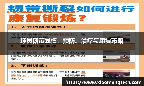乐鱼网页版登录入口官网
