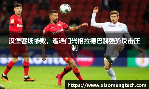 乐鱼leyu体育