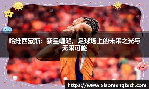 乐鱼网页版登录入口官网