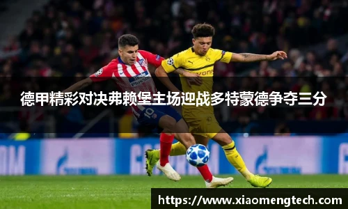 德甲精彩对决弗赖堡主场迎战多特蒙德争夺三分