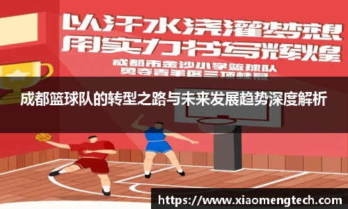 成都篮球队的转型之路与未来发展趋势深度解析